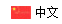 中文版